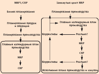  MRP   -  