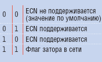 Таблица 1. Значения битов ECN.