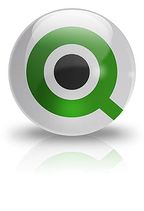 QlikTech была основана в Швеции в 1993 году; первоначально компания действовала на европейском рынке, а в 2004 году вышла и на американский 