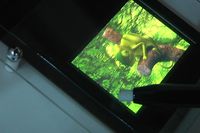 Взаимодействие с экраном осуществляется с помощью стилуса и магнитов, генерирующих тактильные импульсы