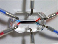 орган на чипе