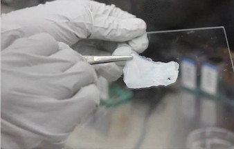 ткань молочной железы