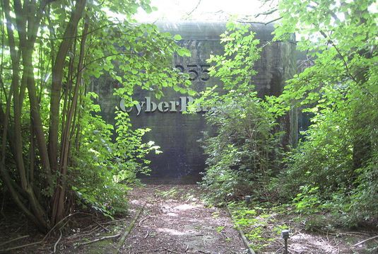 Cyberbunker