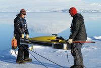 Фото: Walker Smith