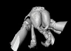 Фото: University of Manchester