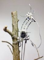 Фото: The Chinese University of Hong Kong