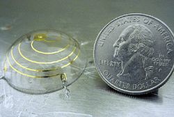 Фото: Harvard Bioscience 