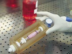 Фото: Harvard Bioscience