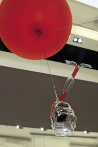 В США комплекты для аэрофотосъемки с воздушного шара предложили всем желающим