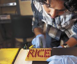 ПРИ ПАРАЛЛЕЛЬНОМ подключении ячеек батарея в течение шести часов снабжала электроэнергией светодиоды, из которых было выложено слово RICE 