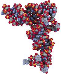 Источник: MIT