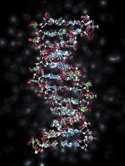 ПРОЦЕСС ЗАПИСИ данных на препарат ДНК требует продолжительного времени, поэтому, по мнению ученых, такой носитель сейчас пригоден только для создания архивов данных Источник: Wikipedia 
