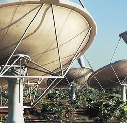 радиотелескоп Square Kilometer Array