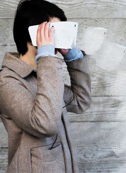 Система Eidos