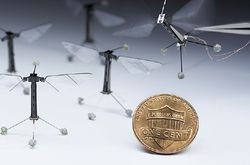 электронный летающий жук