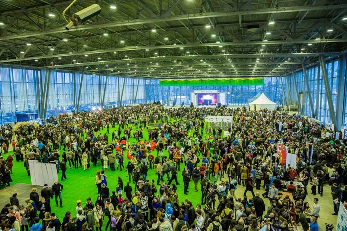 GEEKPICNIС 2014: WINTEREDITION