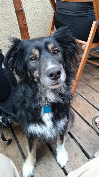 Смартфон Sony Xperia Z2: опыт эксплуатации