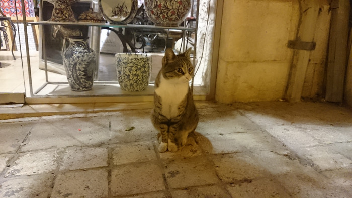 Смартфон Sony Xperia Z2: опыт эксплуатации