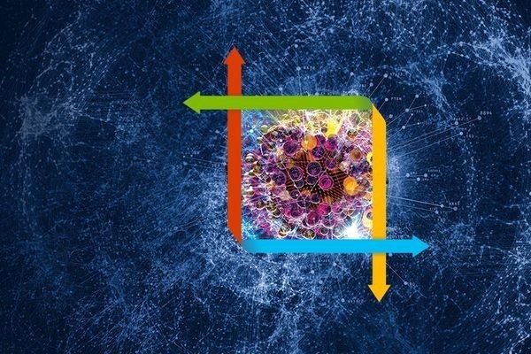 В Microsoft диагностируют рак с помощью Bing