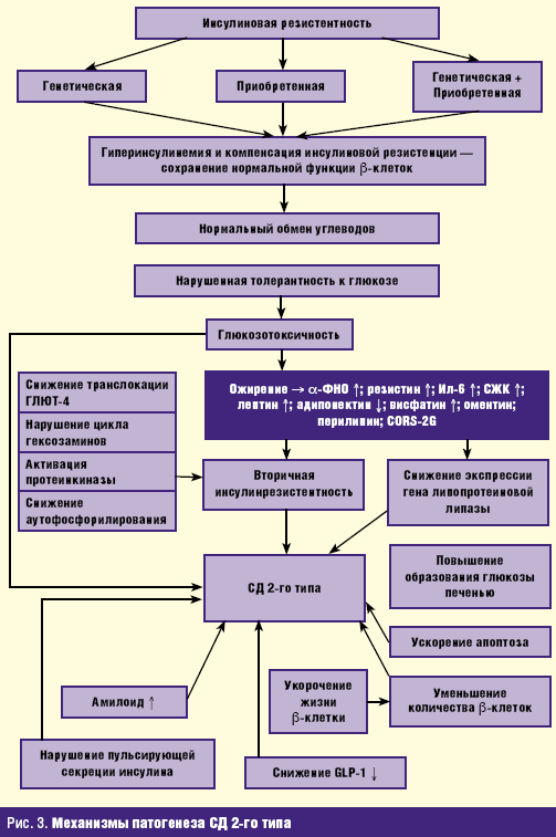 Патогенез сахарного. Патогенез СД 2 типа патофизиология. Патогенез ожирения при сахарном диабете 2 типа. Патогенез СД 2 типа схема. Патогенез сд2 схема.