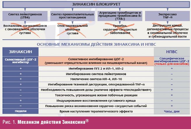 Клинико фармакологическая карта