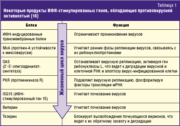 Схема лечения тилороном