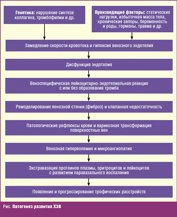 Патогенез развитие. Варикозная болезнь этиология патогенез. Варикозное расширение вен нижних конечностей патогенез. Патогенез развития варикоза. Варикозная болезнь нижних конечностей этиология и патогенез.