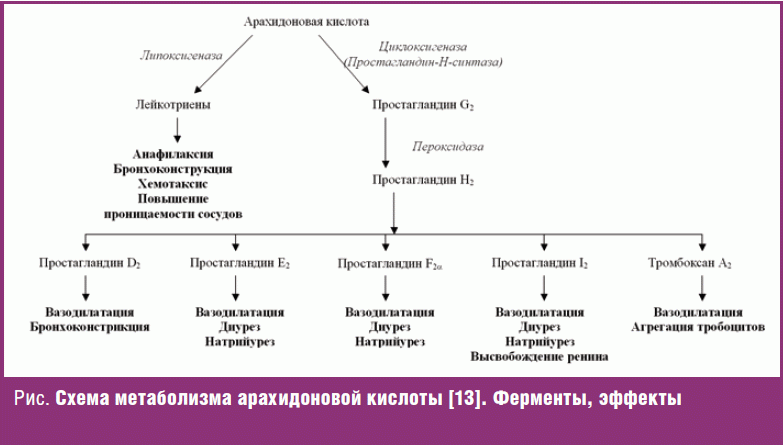 Схема арахидоновой кислоты