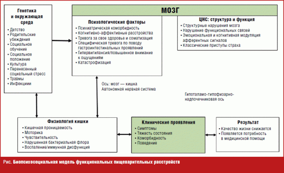 Функциональное расстройство пищеварения карта вызова