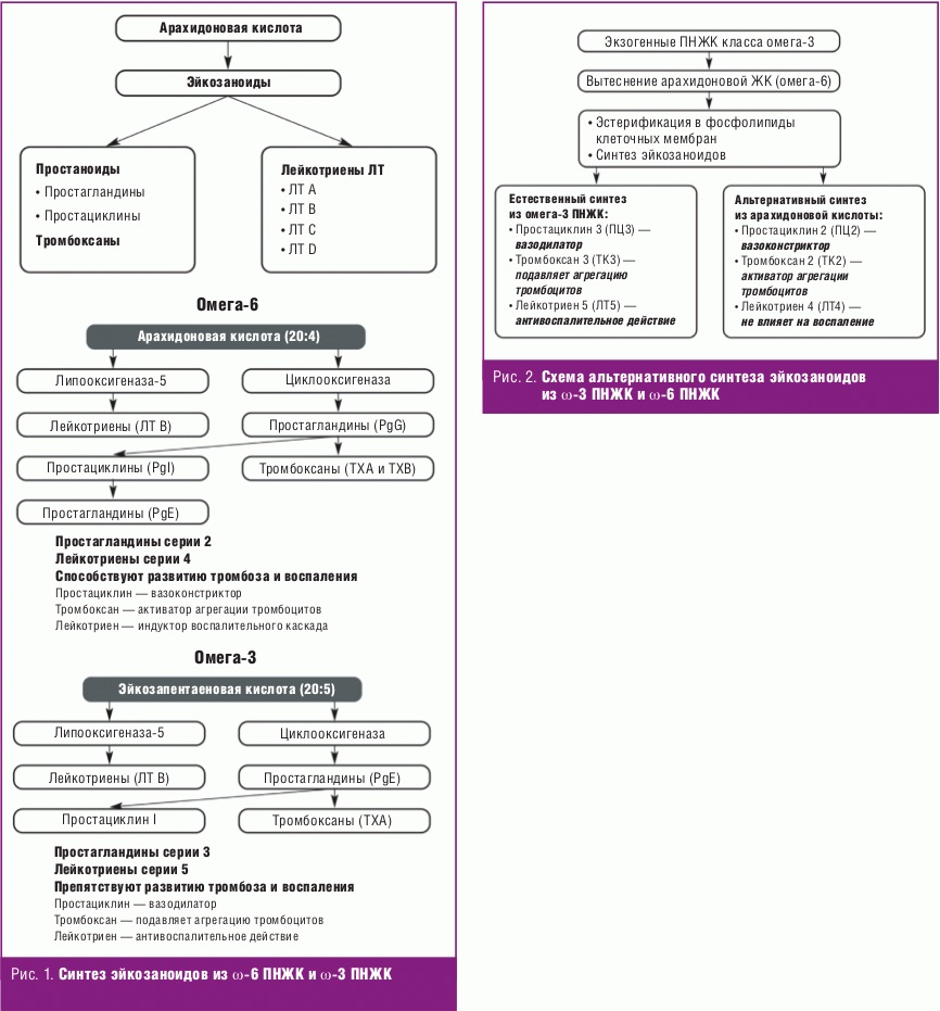 3 жирных кислот. Синтез эйкозаноидов из арахидоновой кислоты и Омега-3. Синтез полиненасыщенных жирных кислот. Омега 3 ПНЖК механизм действия. Омега-3 полиненасыщенные жирные кислоты механизм действия.