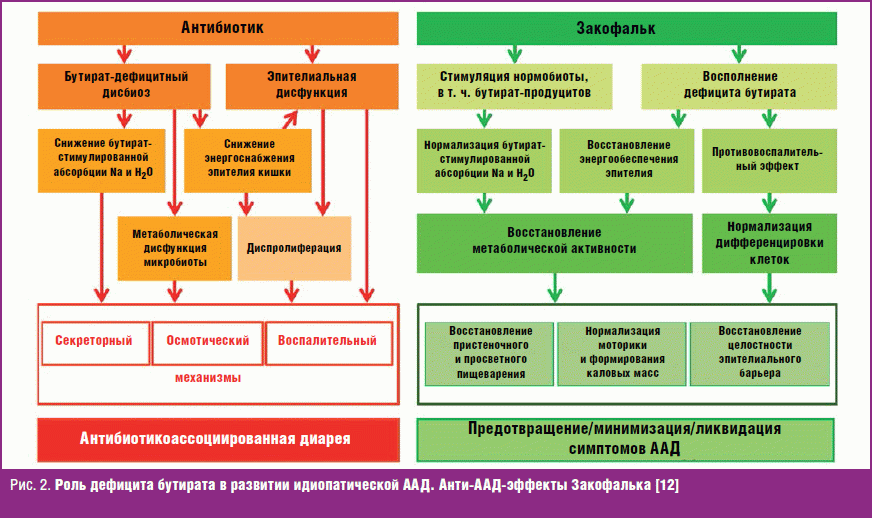 Антибиотик ассоциированная диарея. Антибиотиассоциированная диарея. Антибиотик ассоциированные диареи. Патогенез антибиотик ассоциированной диареи. Патогенез антибиотикоассоциированной диареи.