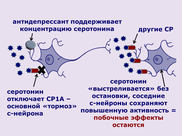 Механизм действия транквилизаторов схема