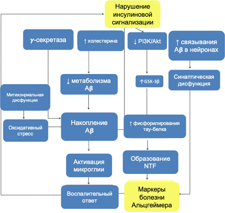 Диабет 3 типа. Инсулинорезистентность это диабет. Инсулинорезистентность 3,3.