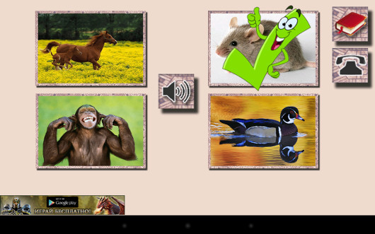 Мобильное обучение