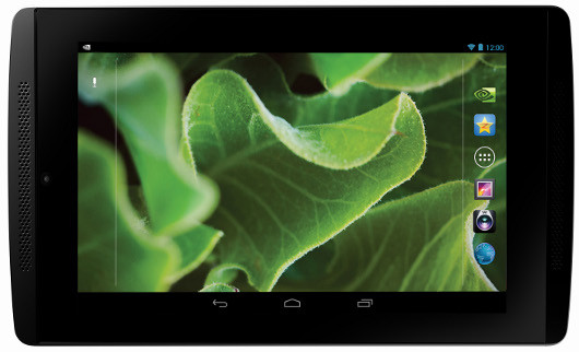 Витязь в «тегровой» шкуре