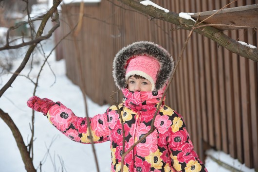 Крепкий середнячок: Фотокамера Nikon D750