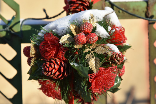 Крепкий середнячок: Фотокамера Nikon D750