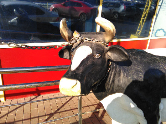 Мобильное фото