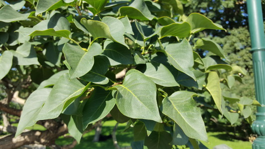 Обзор Samsung Galaxy S6 edge plus: Почти идеален