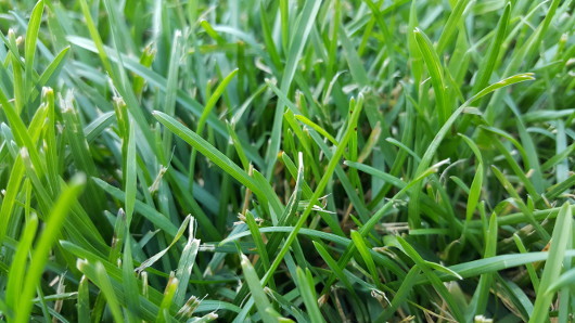 Обзор Samsung Galaxy S6 edge plus: Почти идеален