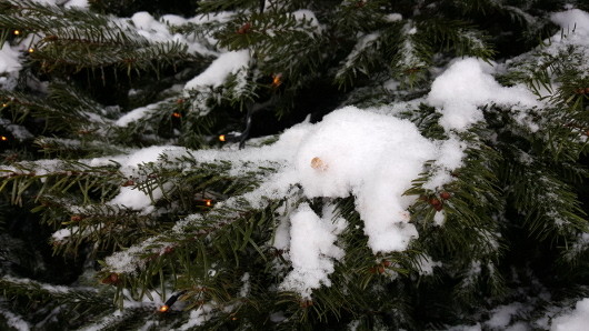 Флагманы 2015 года: Какой смартфон купить сегодня?