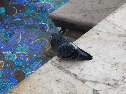 Обзор смартфона ASUS ZenFone Zoom: Снимайте немедленно