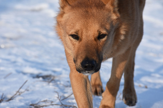 Цифровые фотокамеры: По пути эволюции