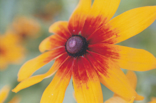 Основа основ: Выбираем фотобумагу