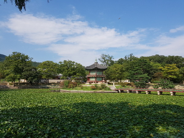 Samsung Galaxy Note 7: Посмотри в глаза