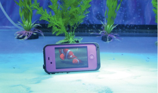 Картинки с главной выставки