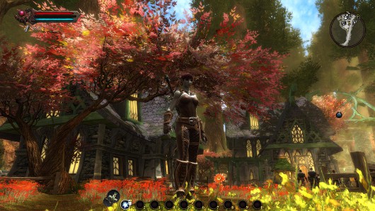 Kingdoms of Amalur: Reckoning -- Не совсем детская сказка