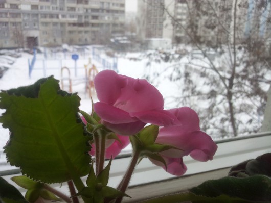 Мобильная замена недорогой фотокамере