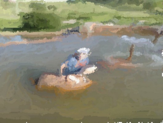 Мобильная фотостудия: съемка, редактирование, эффекты