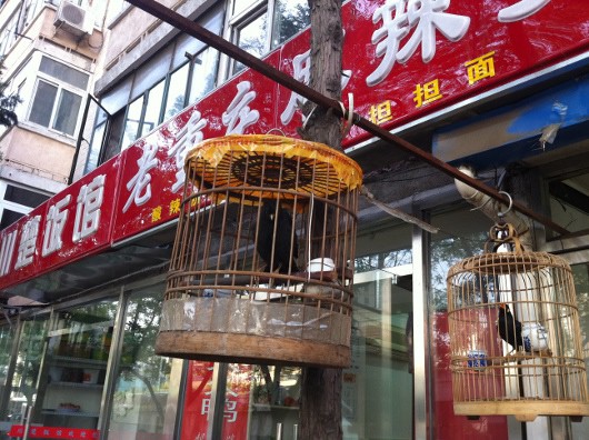 Китай и его прагматичный патриотизм